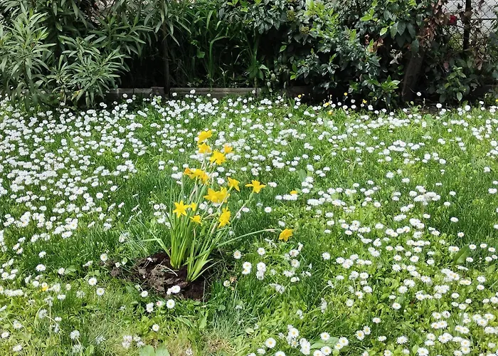 Appartement Grigio Perla Panigale, Con Giardino E Parcheggio Privato Fino A Tre Posti Auto - Un Oasi Di Tranquillità - Vicina All'aeroporto Marconi, Unipol Arena E Fiera